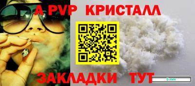 ПСИЛОЦИБИНОВЫЕ ГРИБЫ Канаш