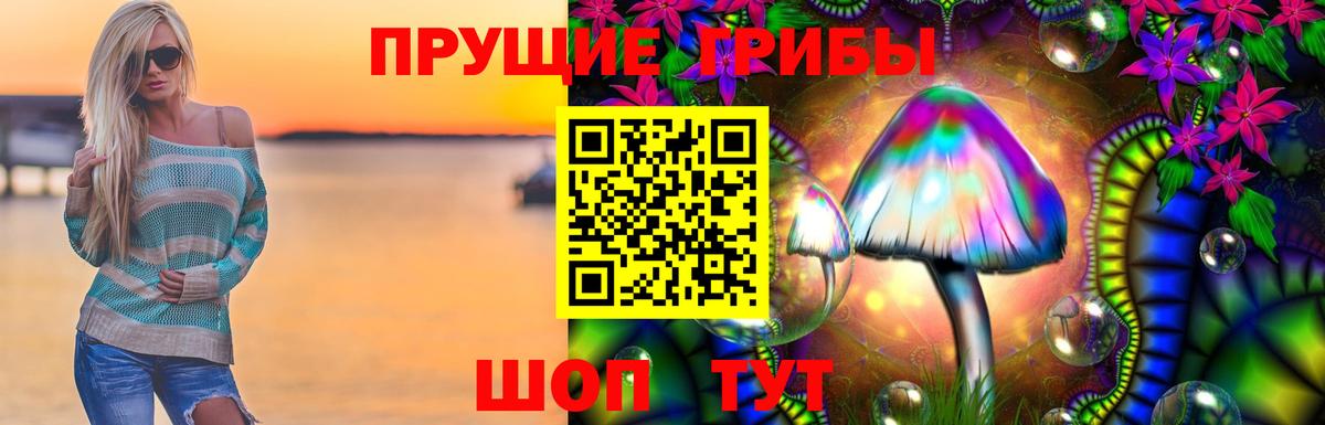 Лесозаводск  Галлюциногенные грибы Psilocybe  Вход с VPN  Галлюциногенные грибы мухоморы 